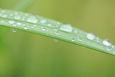 中世纪《骑士精神2》今日登陆Steam 首发6折仅售69.6